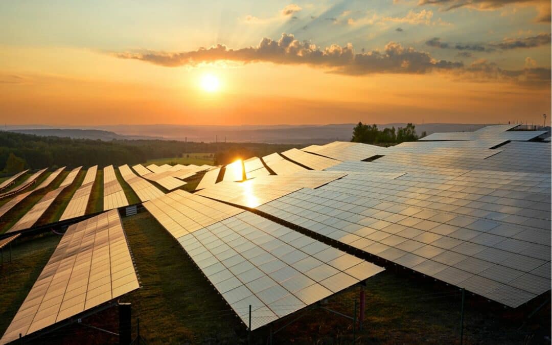 Miraltabank como entidad colocadora del programa de Pagarés Verdes de EiDF Solar