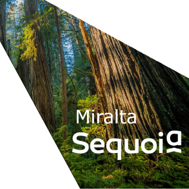 Fondo Miralta Sequoia premiado