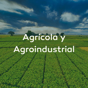 Sector agrícola y agroindustrial