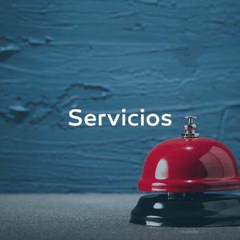 Sector servicios